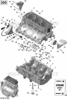 CARTER MOTOR
