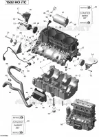 CARTER MOTOR