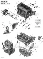 CARTER MOTOR