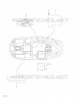 Casco inferior