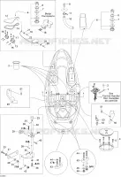 CÁSCARA
