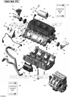 CARTER MOTOR