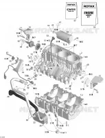 CARTER MOTOR