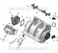 Motor - Colector de admisión 