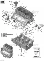 CARTER MOTOR