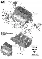 CARTER MOTOR