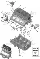 01- ROTAX - CARTER