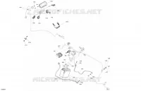 ELECTRICA