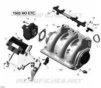 Colector de admisión & Inyeccion