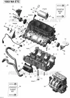 CARTER MOTOR