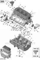 CARTER MOTOR