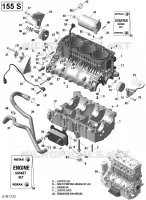 CARTER MOTOR