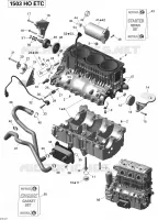 CARTER MOTOR
