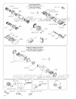 CIRCUITO ELÉCTRICO