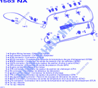 INSTALACION ELECTRICA del motor para Sea-Doo RXP 1503 NA ( NATURALLY ASPIRED ) 2007