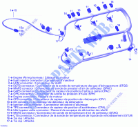 INSTALACION ELECTRICA del motor para Sea-Doo 00- Model Numbers Edition 2 2006